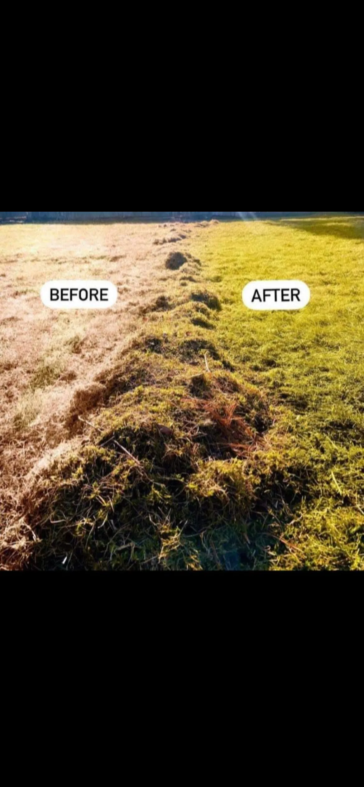 Lawn dethatching before and after results in Powassan, Ontario by Martin Services