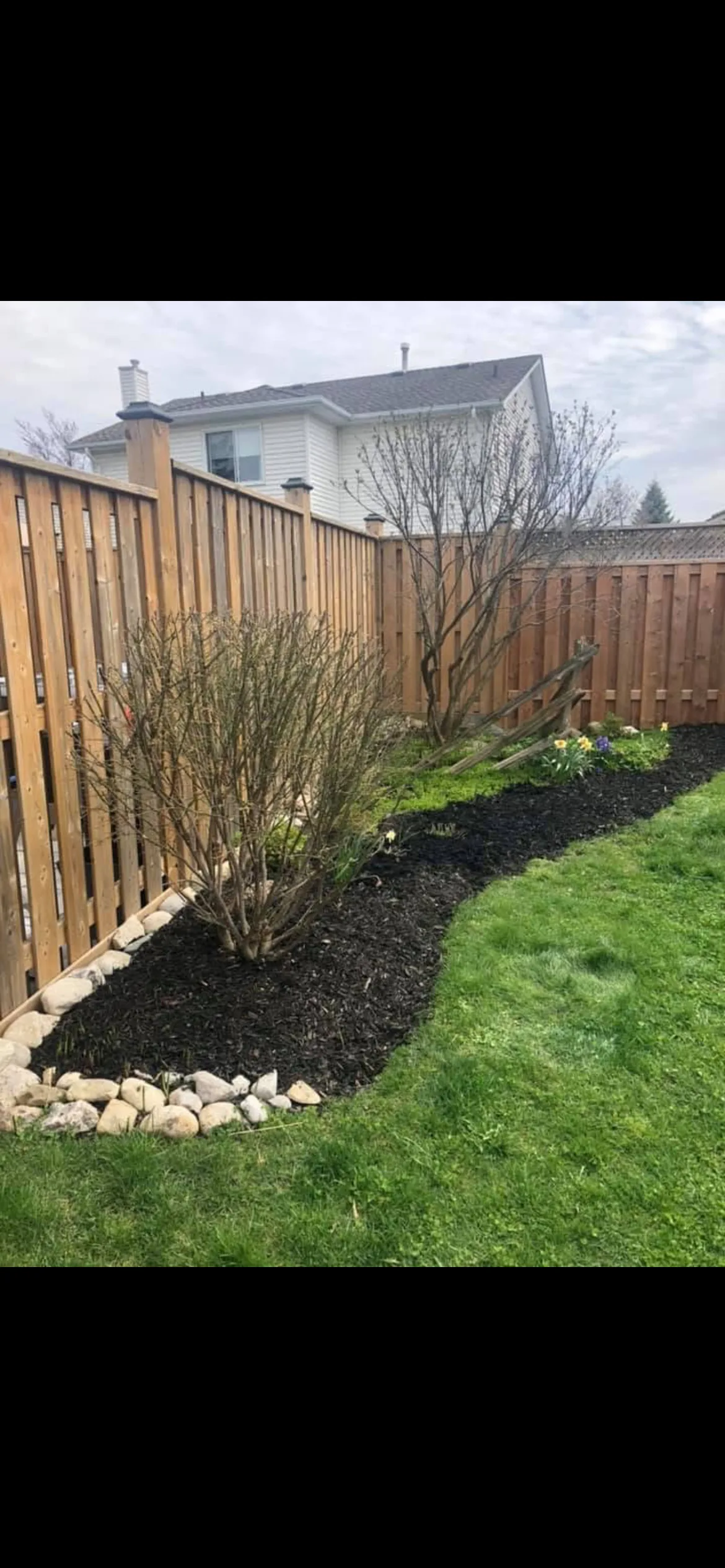 Freshly mulched garden bed along fence line in Powassan, Ontario