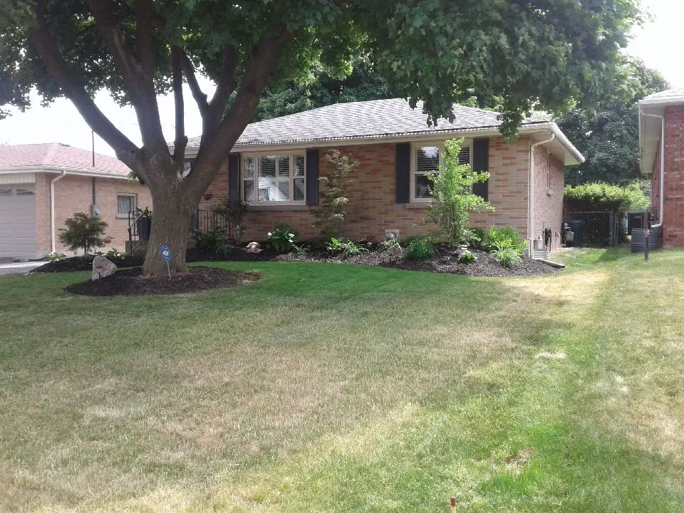 Freshly mowed lawn in a wooded residential property by Martin Services