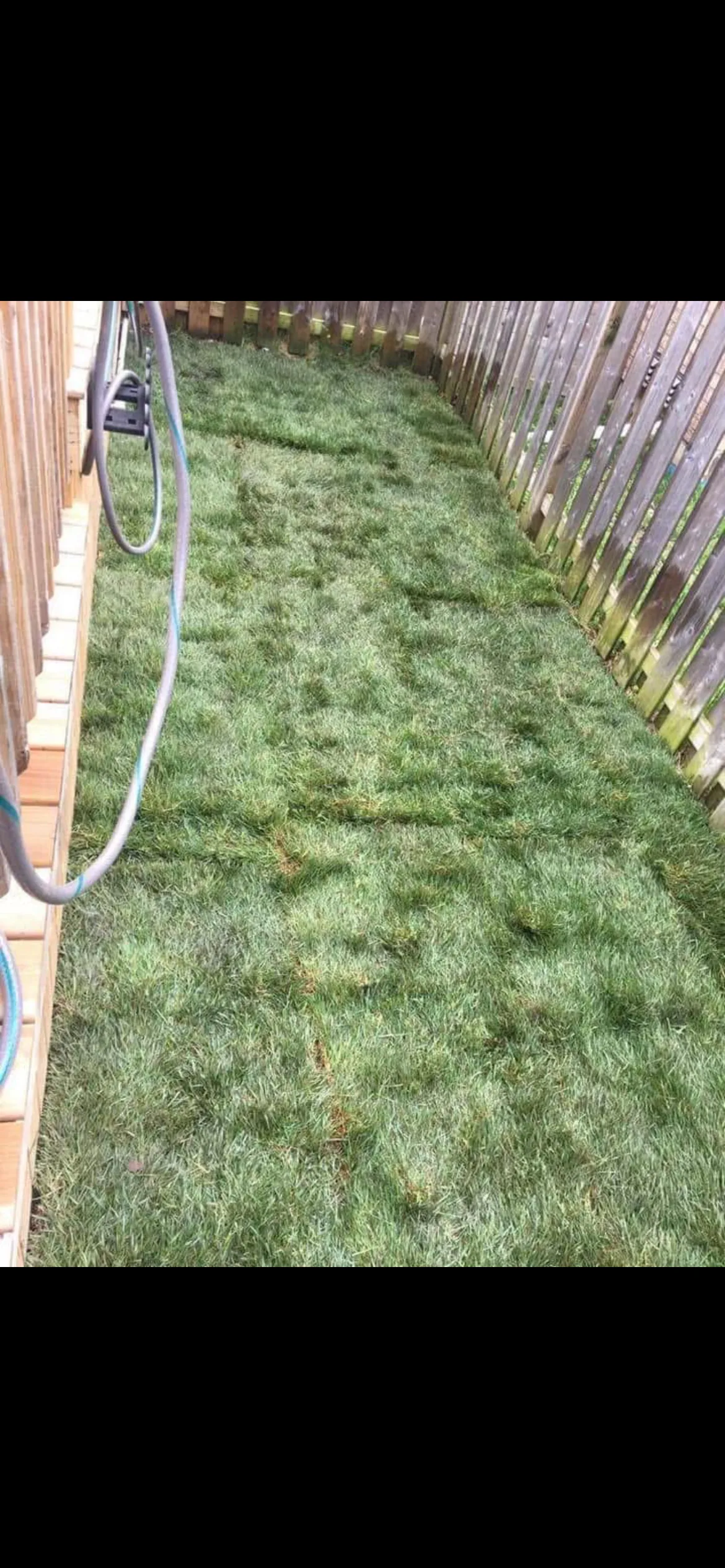 New sod installation on a residential property in Powassan, Ontario